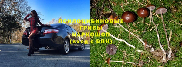PSILOCYBIN Алексеевка
