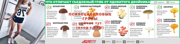индика Киреевск
