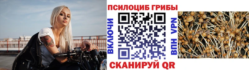 Галлюциногенные грибы GOLDEN TEACHER  хочу наркоту  Сибай 